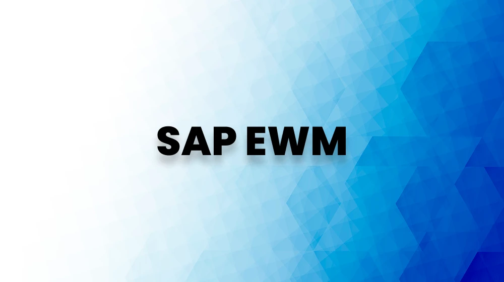 SAP EWM course